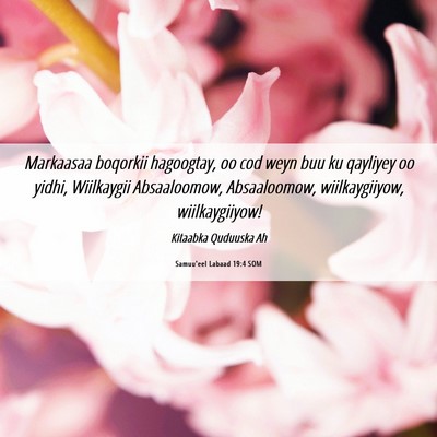 Picture 06 - Samuu'eel Labaad 19:4 SOM - Markaasaa boqorkii hagoogtay, oo cod weyn buu ku - Bible Verse Picture