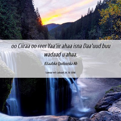 Picture 06 - Samuu'eel Labaad 20:26 SOM - oo Ciiraa oo reer Yaa'iir ahaa isna Daa'uud buu - Bible Verse Picture