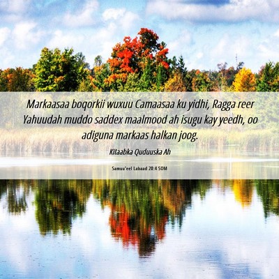 Picture 06 - Samuu'eel Labaad 20:4 SOM - Markaasaa boqorkii wuxuu Camaasaa ku yidhi, Ragga - Bible Verse Picture