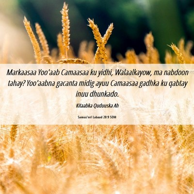 Picture 06 - Samuu'eel Labaad 20:9 SOM - Markaasaa Yoo'aab Camaasaa ku yidhi, Walaalkayow, - Bible Verse Picture