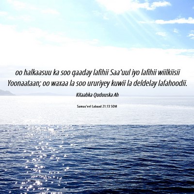Picture 06 - Samuu'eel Labaad 21:13 SOM - oo halkaasuu ka soo qaaday lafihii Saa'uul iyo - Bible Verse Picture