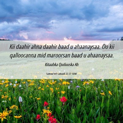 Picture 06 - Samuu'eel Labaad 22:27 SOM - Kii daahir ahna daahir baad u ahaanaysaa. Oo kii - Bible Verse Picture