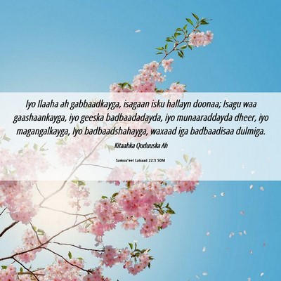 Picture 06 - Samuu'eel Labaad 22:3 SOM - Iyo Ilaaha ah gabbaadkayga, isagaan isku hallayn - Bible Verse Picture