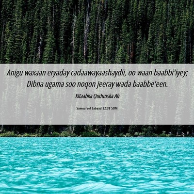 Picture 06 - Samuu'eel Labaad 22:38 SOM - Anigu waxaan eryaday cadaawayaashaydii, oo waan - Bible Verse Picture