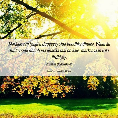 Picture 06 - Samuu'eel Labaad 22:43 SOM - Markaasaan iyagii u duqeeyey sida boodhka dhulka, - Bible Verse Picture