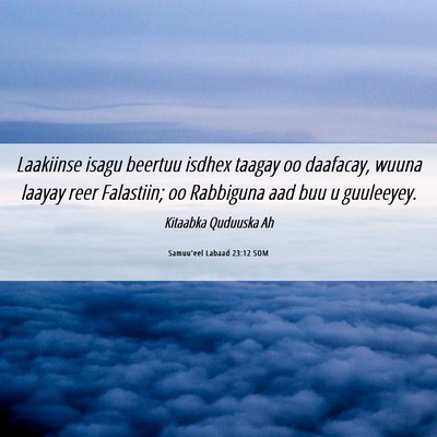 Picture 06 - Samuu'eel Labaad 23:12 SOM - Laakiinse isagu beertuu isdhex taagay oo - Bible Verse Picture