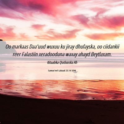Picture 06 - Samuu'eel Labaad 23:14 SOM - Oo markaas Daa'uud wuxuu ku jiray dhufayska, oo - Bible Verse Picture