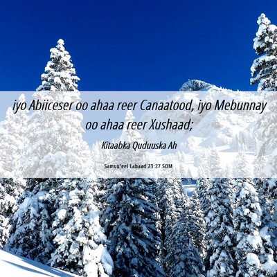 Picture 06 - Samuu'eel Labaad 23:27 SOM - iyo Abiiceser oo ahaa reer Canaatood, iyo - Bible Verse Picture