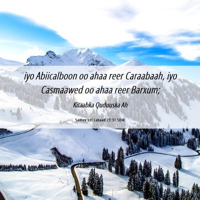 Picture 06 - Samuu'eel Labaad 23:31 SOM - iyo Abiicalboon oo ahaa reer Caraabaah, iyo - Bible Verse Picture