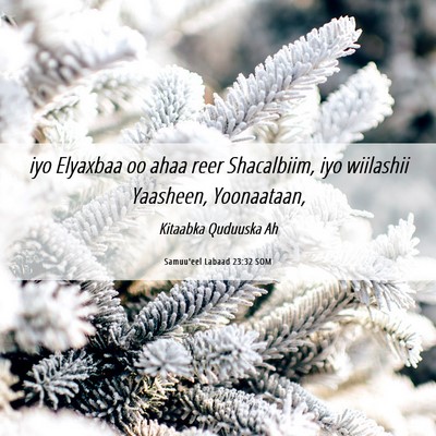 Picture 06 - Samuu'eel Labaad 23:32 SOM - iyo Elyaxbaa oo ahaa reer Shacalbiim, iyo - Bible Verse Picture