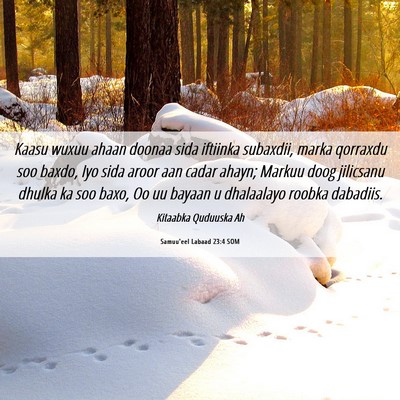 Picture 06 - Samuu'eel Labaad 23:4 SOM - Kaasu wuxuu ahaan doonaa sida iftiinka subaxdii, - Bible Verse Picture