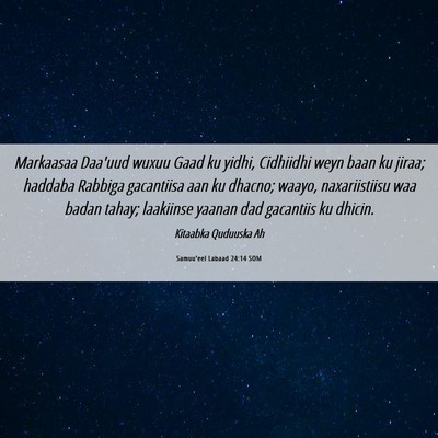 Picture 06 - Samuu'eel Labaad 24:14 SOM - Markaasaa Daa'uud wuxuu Gaad ku yidhi, Cidhiidhi - Bible Verse Picture