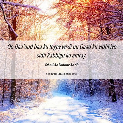 Picture 06 - Samuu'eel Labaad 24:19 SOM - Oo Daa'uud baa ku tegey wixii uu Gaad ku yidhi - Bible Verse Picture