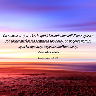 Picture 06 - Samuu'eel Labaad 24:20 SOM - Oo Arawnaah ayaa arkay boqorkii iyo - Bible Verse Picture