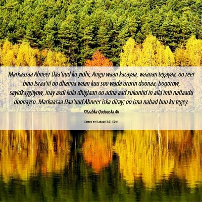 Picture 06 - Samuu'eel Labaad 3:21 SOM - Markaasaa Abneer Daa'uud ku yidhi, Anigu waan - Bible Verse Picture