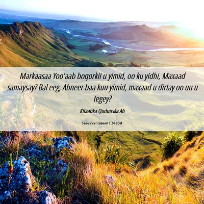 Picture 06 - Samuu'eel Labaad 3:24 SOM - Markaasaa Yoo'aab boqorkii u yimid, oo ku yidhi, - Bible Verse Picture