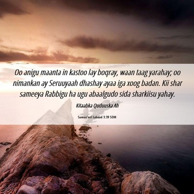Picture 06 - Samuu'eel Labaad 3:39 SOM - Oo anigu maanta in kastoo lay boqray, waan taag - Bible Verse Picture