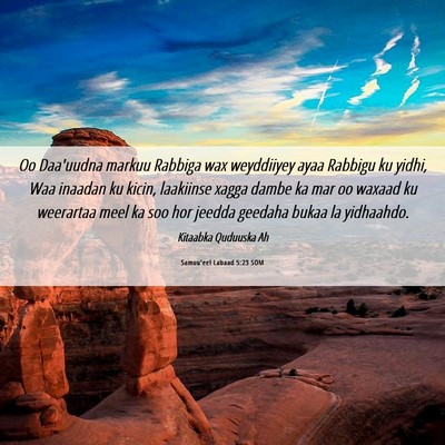 Picture 06 - Samuu'eel Labaad 5:23 SOM - Oo Daa'uudna markuu Rabbiga wax weyddiiyey ayaa - Bible Verse Picture