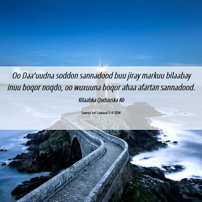 Picture 06 - Samuu'eel Labaad 5:4 SOM - Oo Daa'uudna soddon sannadood buu jiray markuu - Bible Verse Picture