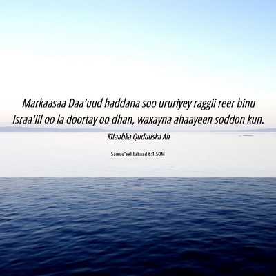 Picture 06 - Samuu'eel Labaad 6:1 SOM - Markaasaa Daa'uud haddana soo ururiyey raggii - Bible Verse Picture