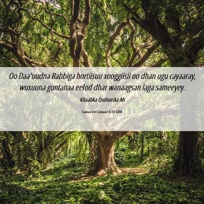 Picture 06 - Samuu'eel Labaad 6:14 SOM - Oo Daa'uudna Rabbiga hortiisuu xooggiisii oo dhan - Bible Verse Picture