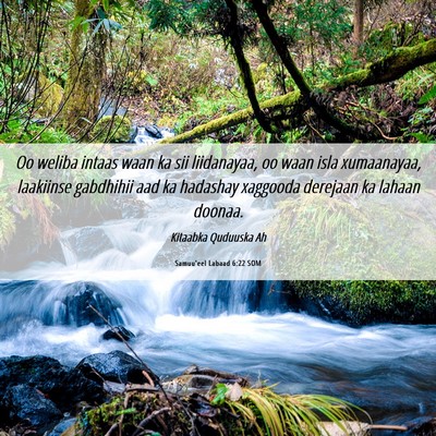 Picture 06 - Samuu'eel Labaad 6:22 SOM - Oo weliba intaas waan ka sii liidanayaa, oo waan - Bible Verse Picture