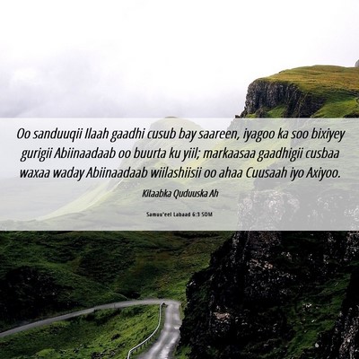 Picture 06 - Samuu'eel Labaad 6:3 SOM - Oo sanduuqii Ilaah gaadhi cusub bay saareen, - Bible Verse Picture