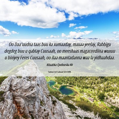 Picture 06 - Samuu'eel Labaad 6:8 SOM - Oo Daa'uudna taas buu ka xumaaday, maxaa yeelay, - Bible Verse Picture