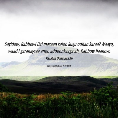 Picture 06 - Samuu'eel Labaad 7:20 SOM - Sayidow, Rabbow! Bal maxaan kaloo kugu odhan - Bible Verse Picture