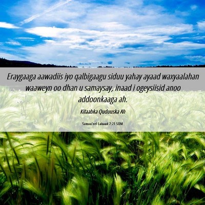 Picture 06 - Samuu'eel Labaad 7:21 SOM - Eraygaaga aawadiis iyo qalbigaagu siduu yahay - Bible Verse Picture