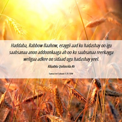Picture 06 - Samuu'eel Labaad 7:25 SOM - Haddaba, Rabbow Ilaahow, eraygii aad ku hadashay - Bible Verse Picture
