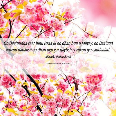 Picture 06 - Samuu'eel Labaad 8:15 SOM - Oo Daa'uudna reer binu Israa'iil oo dhan buu u - Bible Verse Picture