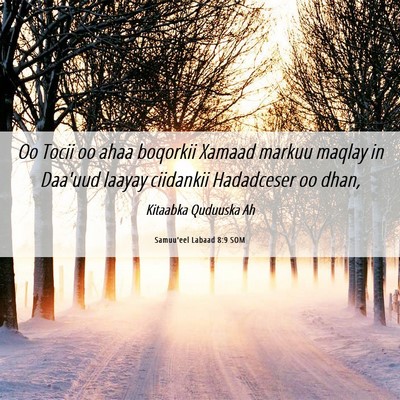 Picture 06 - Samuu'eel Labaad 8:9 SOM - Oo Tocii oo ahaa boqorkii Xamaad markuu maqlay in - Bible Verse Picture
