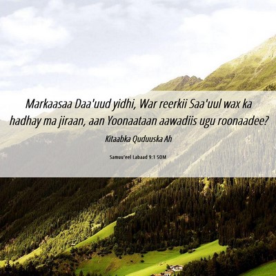 Picture 06 - Samuu'eel Labaad 9:1 SOM - Markaasaa Daa'uud yidhi, War reerkii Saa'uul wax - Bible Verse Picture