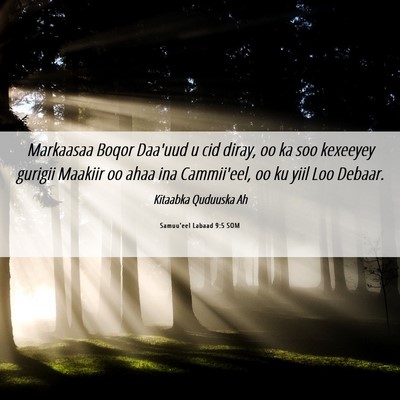 Picture 06 - Samuu'eel Labaad 9:5 SOM - Markaasaa Boqor Daa'uud u cid diray, oo ka soo - Bible Verse Picture