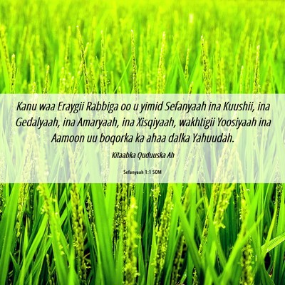 Picture 06 - Sefanyaah 1:1 SOM - Kanu waa Eraygii Rabbiga oo u yimid Sefanyaah ina - Bible Verse Picture