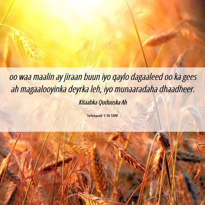 Picture 06 - Sefanyaah 1:16 SOM - oo waa maalin ay jiraan buun iyo qaylo dagaaleed - Bible Verse Picture