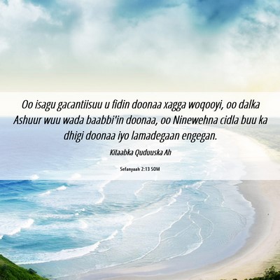 Picture 06 - Sefanyaah 2:13 SOM - Oo isagu gacantiisuu u fidin doonaa xagga - Bible Verse Picture