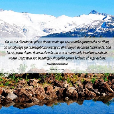 Picture 06 - Sefanyaah 2:14 SOM - Oo waxaa dhexdeeda jiifsan doona xoolo iyo - Bible Verse Picture