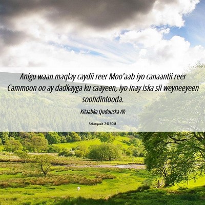 Picture 06 - Sefanyaah 2:8 SOM - Anigu waan maqlay caydii reer Moo'aab iyo - Bible Verse Picture
