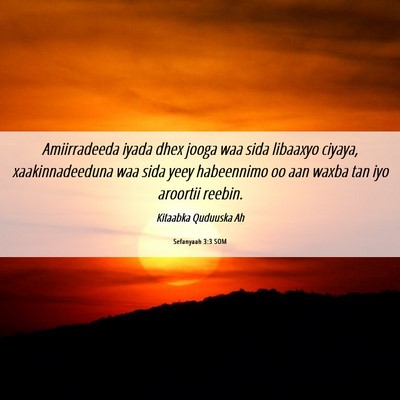 Picture 06 - Sefanyaah 3:3 SOM - Amiirradeeda iyada dhex jooga waa sida libaaxyo - Bible Verse Picture