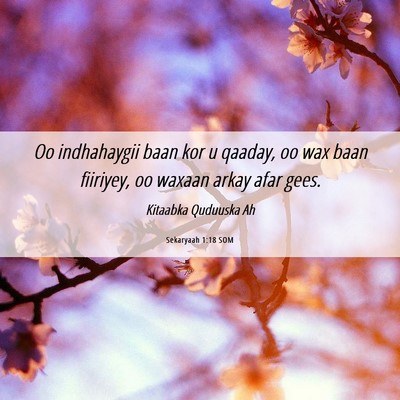 Picture 06 - Sekaryaah 1:18 SOM - Oo indhahaygii baan kor u qaaday, oo wax baan - Bible Verse Picture