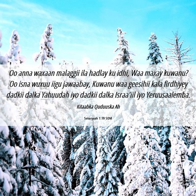 Picture 06 - Sekaryaah 1:19 SOM - Oo anna waxaan malaggii ila hadlay ku idhi, Waa - Bible Verse Picture