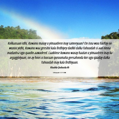Picture 06 - Sekaryaah 1:21 SOM - Kolkaasaan idhi, Kuwanu maxay u yimaadeen inay - Bible Verse Picture