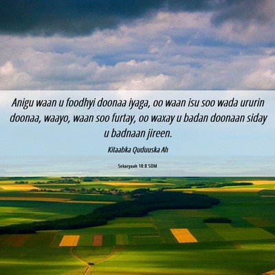Picture 06 - Sekaryaah 10:8 SOM - Anigu waan u foodhyi doonaa iyaga, oo waan isu - Bible Verse Picture