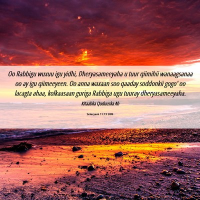 Picture 06 - Sekaryaah 11:13 SOM - Oo Rabbigu wuxuu igu yidhi, Dheryasameeyaha u - Bible Verse Picture