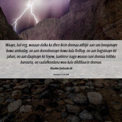 Picture 06 - Sekaryaah 11:16 SOM - Waayo, bal eeg, waxaan dalka ka dhex kicin doonaa - Bible Verse Picture