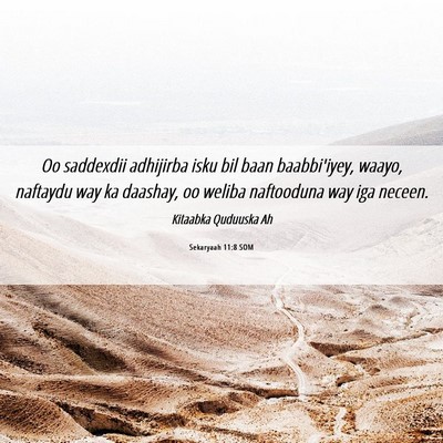 Picture 06 - Sekaryaah 11:8 SOM - Oo saddexdii adhijirba isku bil baan baabbi'iyey, - Bible Verse Picture