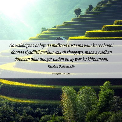 Picture 06 - Sekaryaah 13:4 SOM - Oo wakhtigaas nebiyada midkood kastaaba wuu ku - Bible Verse Picture