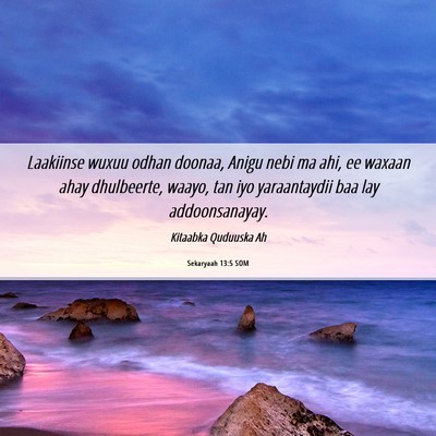 Picture 06 - Sekaryaah 13:5 SOM - Laakiinse wuxuu odhan doonaa, Anigu nebi ma ahi, - Bible Verse Picture